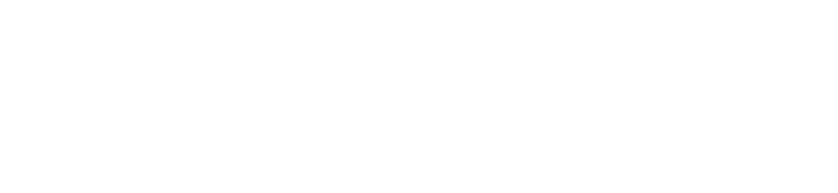 Ani Healthcare, Inc.
